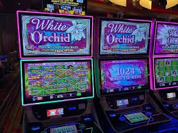 Aksi virtual basket dan entertainment digital